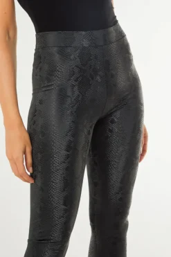 Black Snake Print Leather Look Leggings by Aftershock London