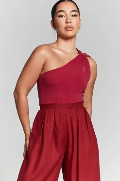 Burgundy Pleated Wide Leg Trouser by InFlair