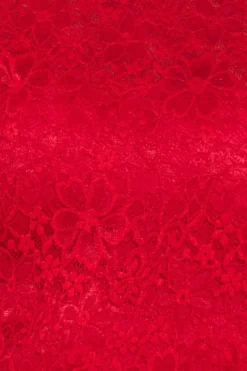 Flutter Sleeve Lace A-Line Maxi Dress - Red by Goddiva