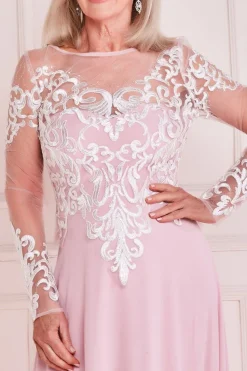 Mesh & Lace Embroidered Bodice Maxi - Blush by Goddiva