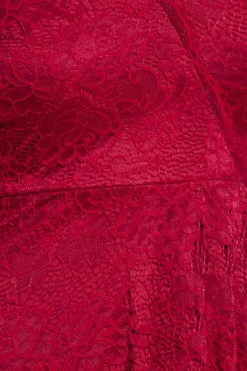 Scalloped Lace A-line Midi Dress - Wine by Goddiva