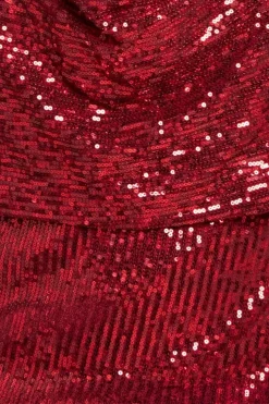 Sequin Cowl Maxi Dress - Wine by Goddiva Plus