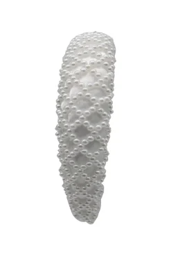 White Pearl Lattice Style Headband by SVNX
